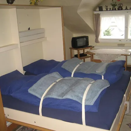 路易丝加斯特豪斯酒店 住宿加早餐酒店 蒙绍